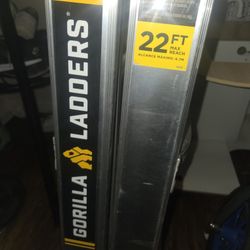 Gorilla 22 Ft Ladder