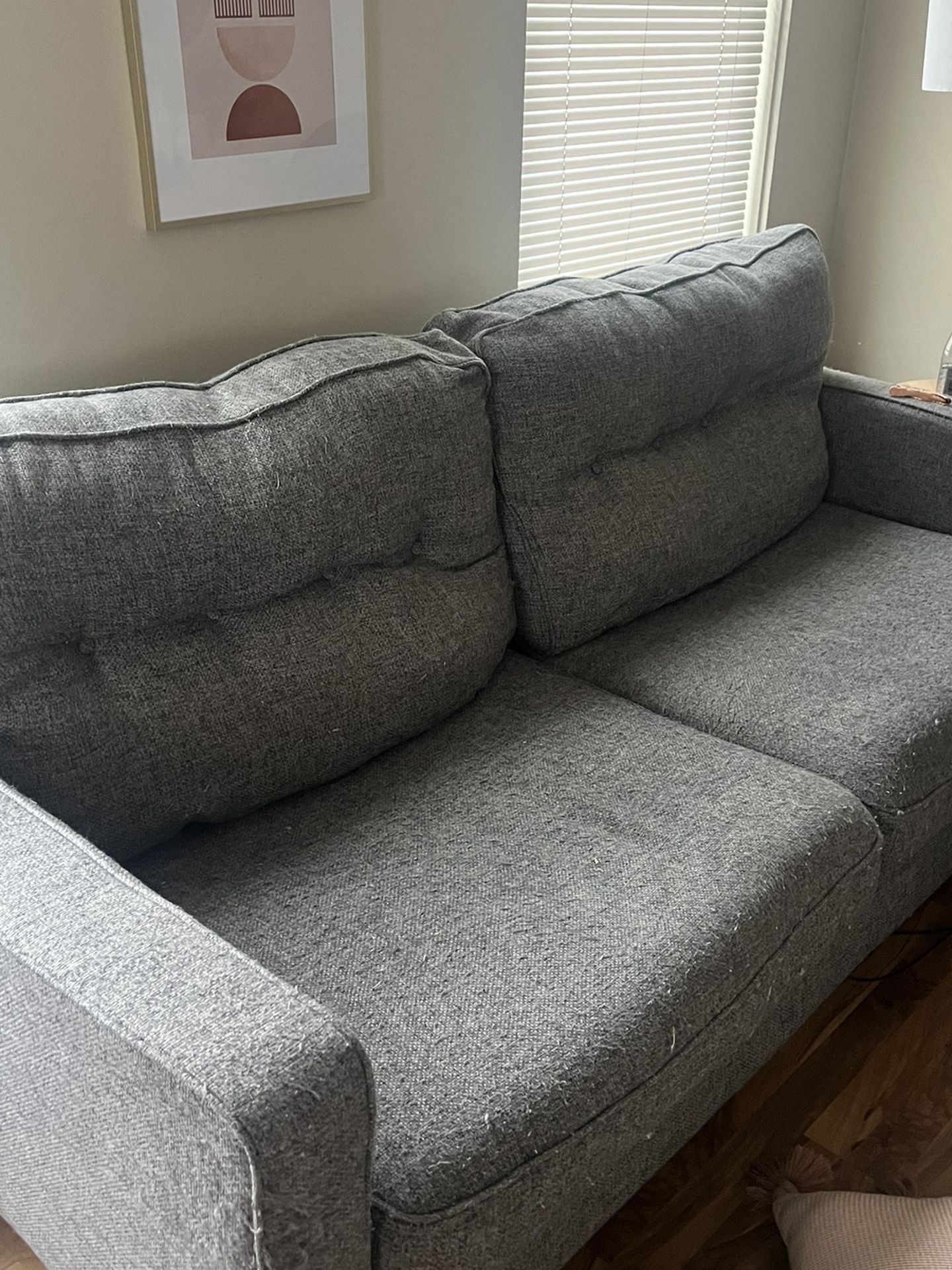 FREE SOFA