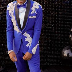 Royal Blue 2 Piece Suit With Matching Butterfly Suit