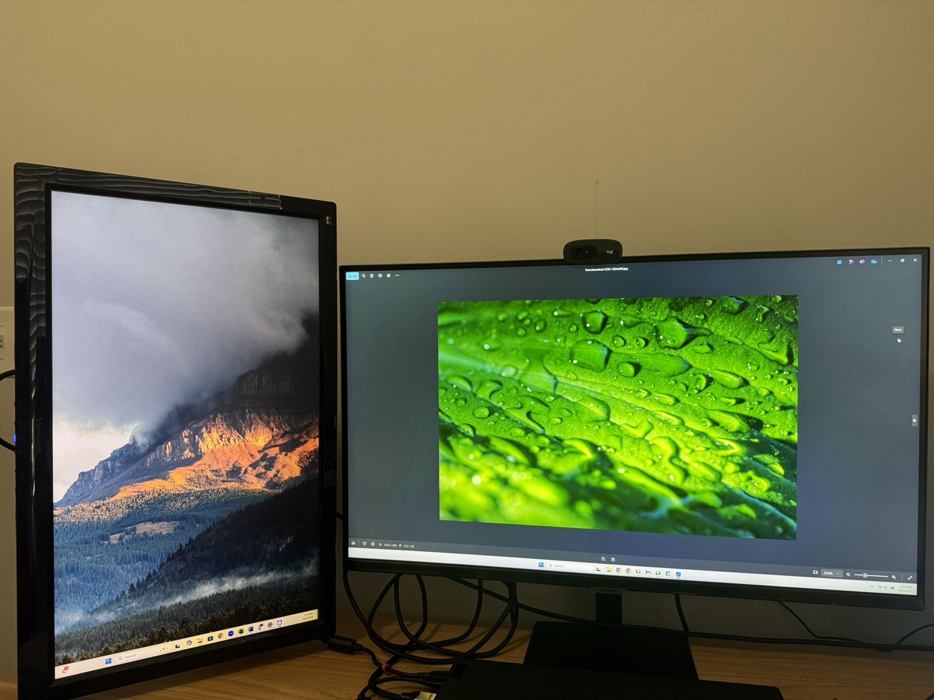 Dual Monitor setup for Home Office
