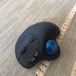 Opened Trackball Mouse