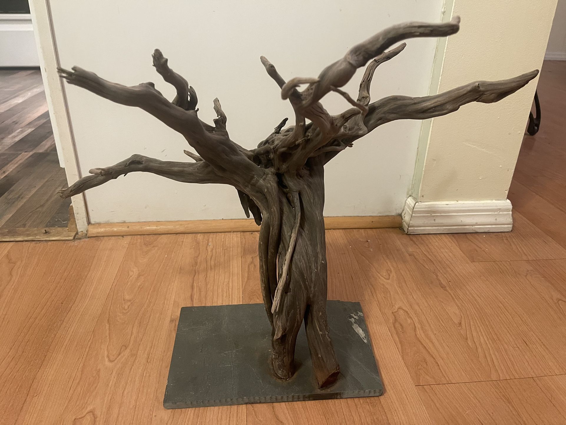 Two large aquarium wood pieces