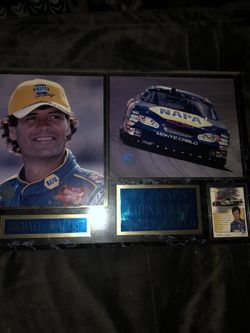 Michael Waltrip Nascar Frame 