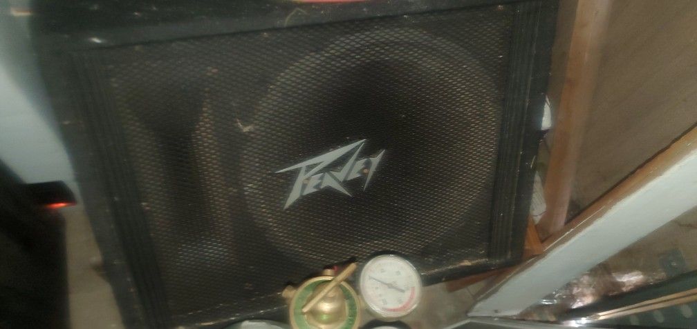 peavey floor monitor