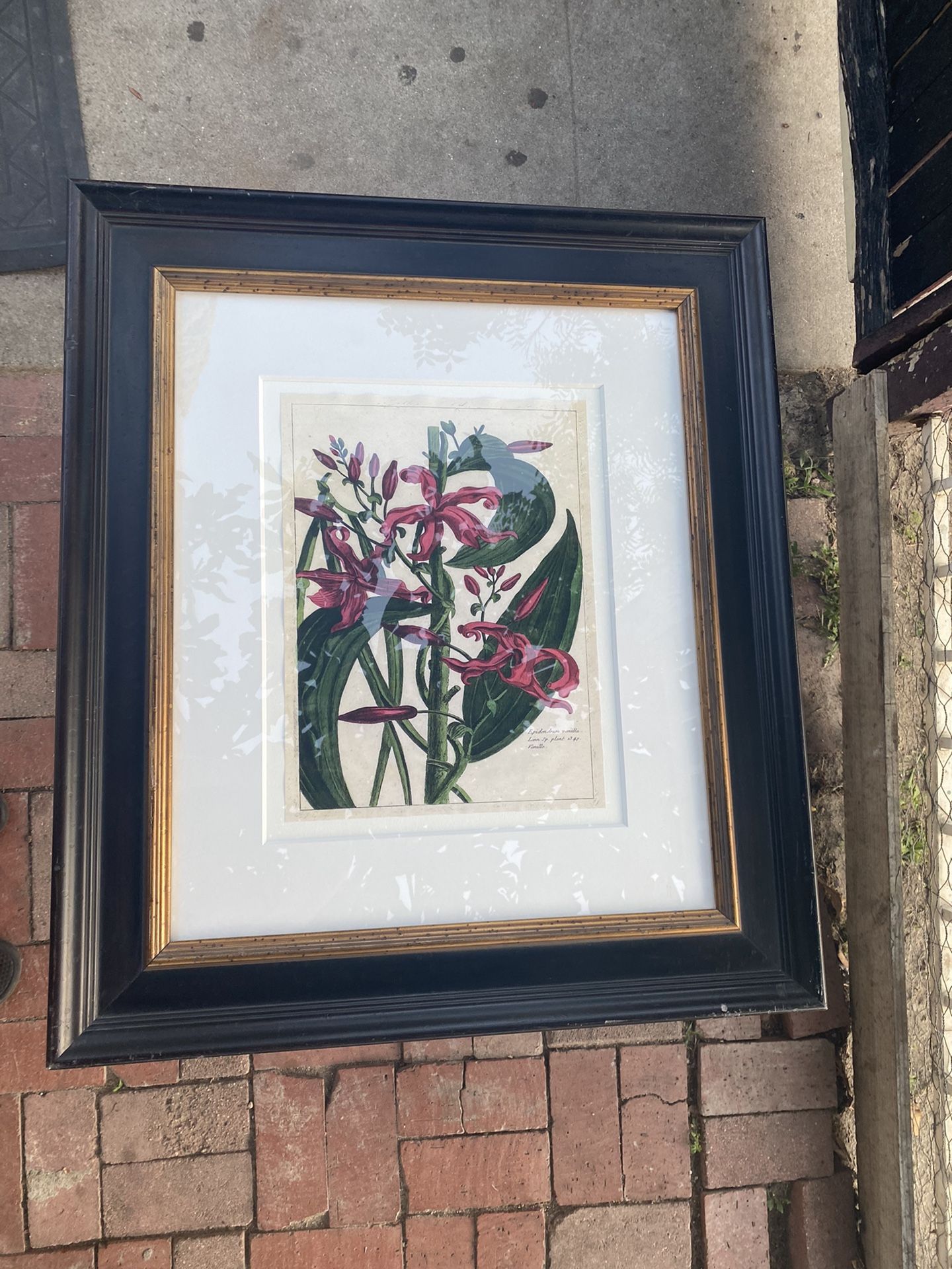 Fleur Mde Rouge III , The Raschella Collection