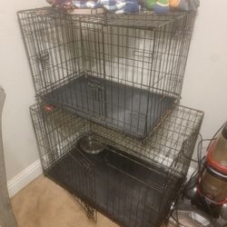 Dog Kennel