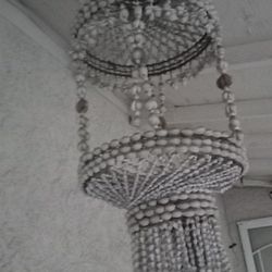 Shell Hanging Planter