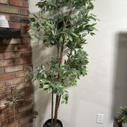 Nice Fake Plant With Pot