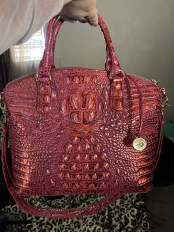 Brahmin