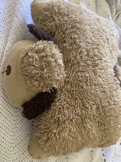 Pillow pet