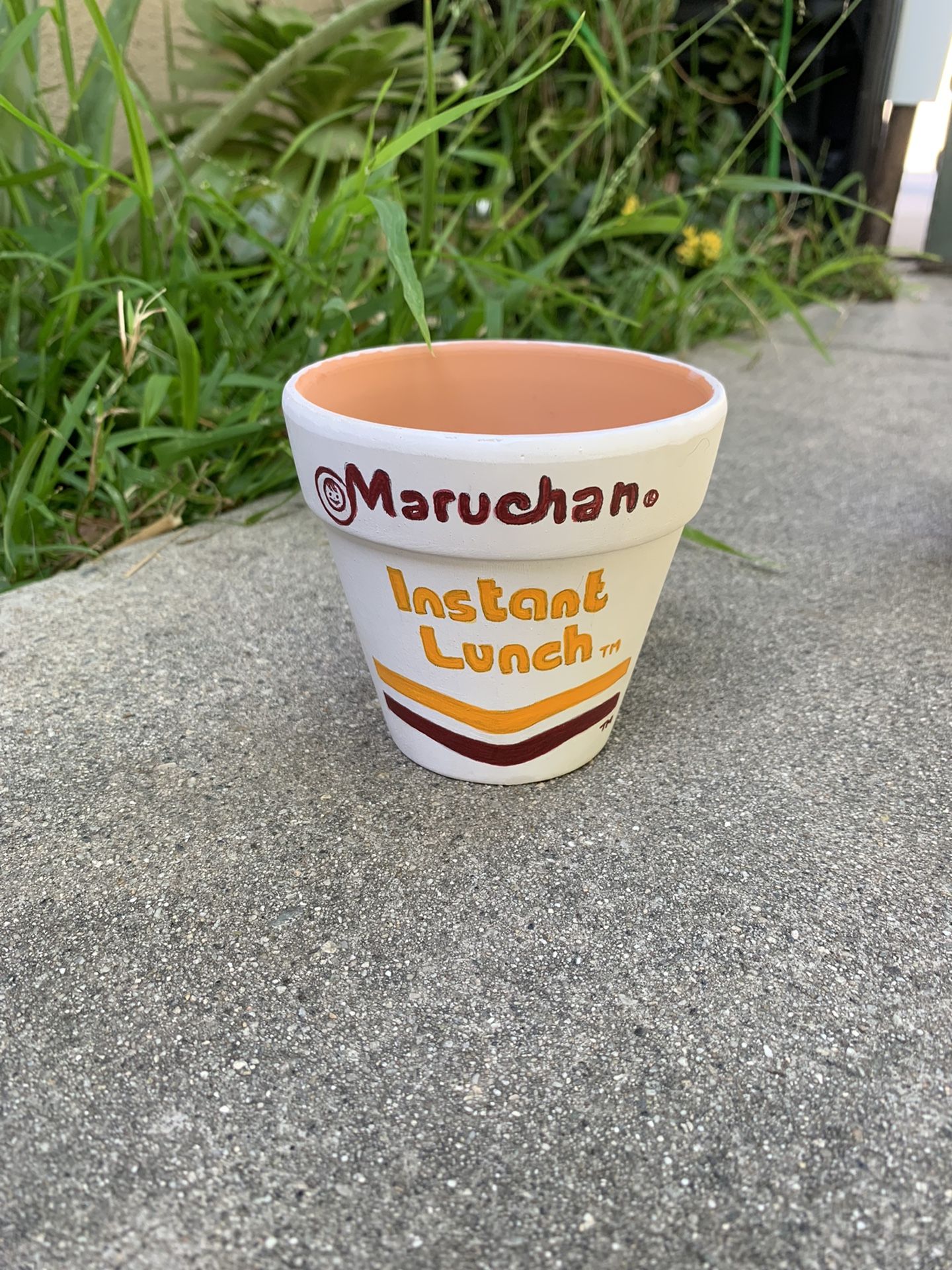 Hand Painted Flower Pot