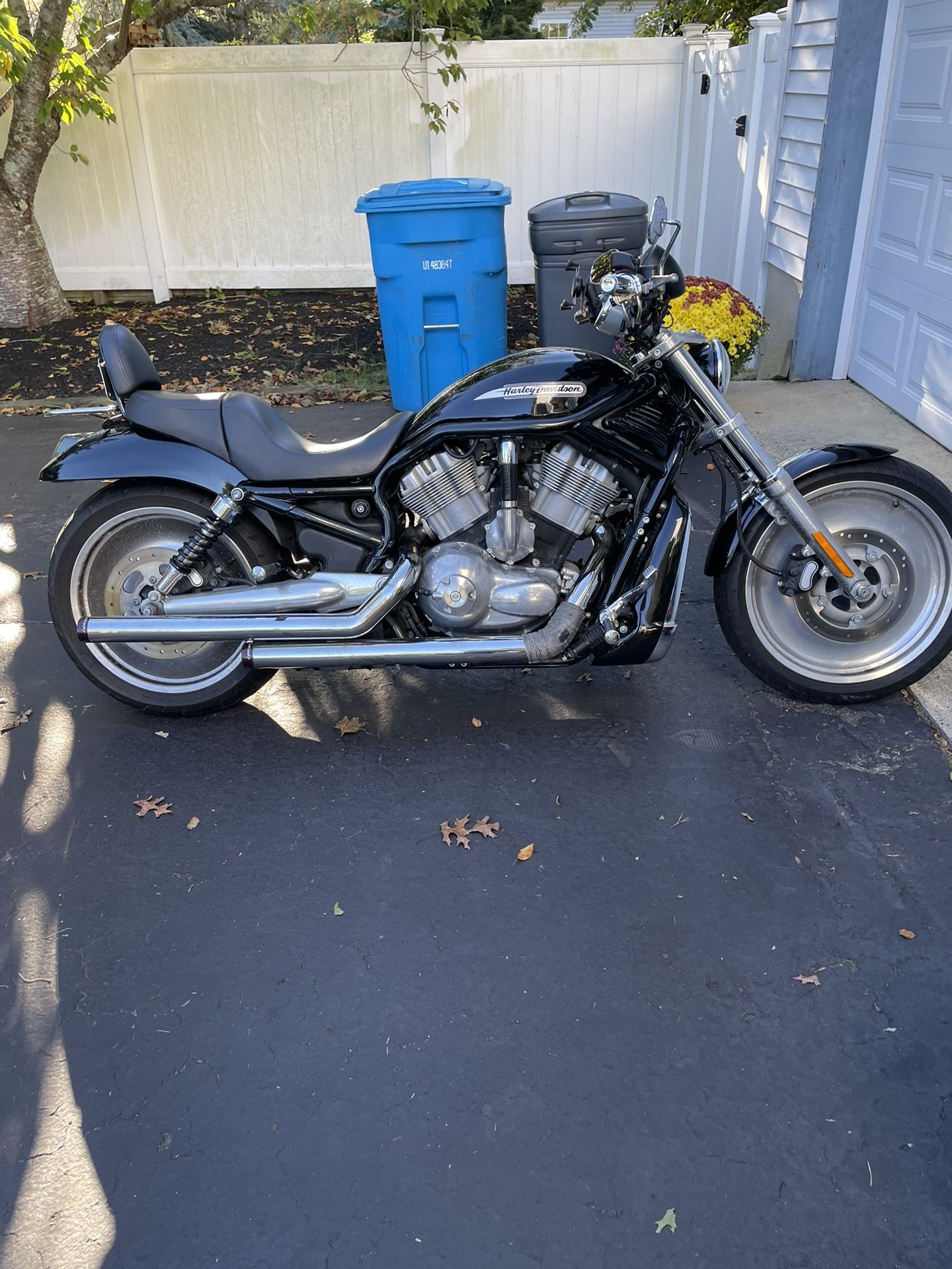 2005 Harley Davidson V-Rod with Blackout option