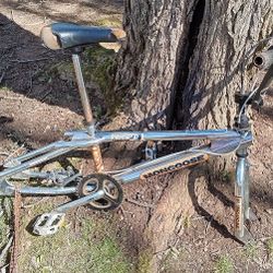 Vintage Mongoose Frame