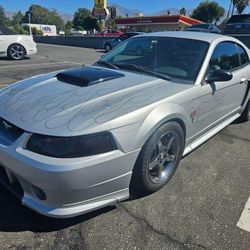 03 Mustang GT Supercharged 
