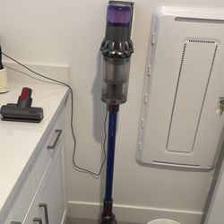 Dyson v11