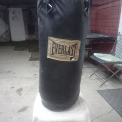 30 pound punching bag  Everlast