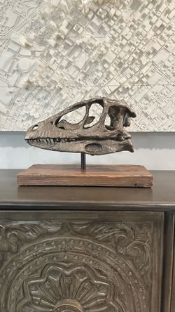 Custom Bronze Velociraptor Skull Display – Life Size