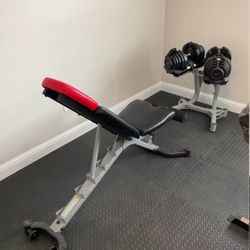 Bowflex-1090-dumbbells 