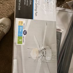 Ceiling Fan