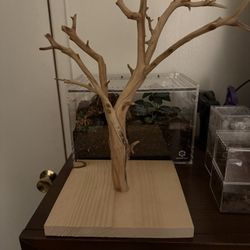 Reptile Branch Stand