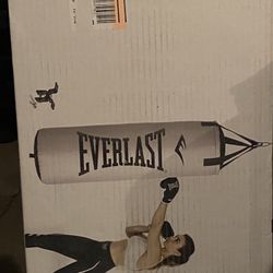 Everlast Heavy Bag