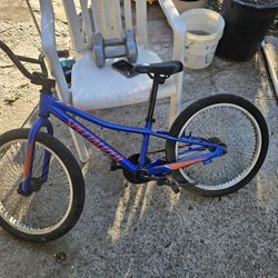Specialized   Child Bike