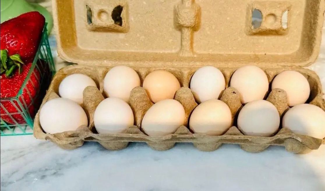 Eggs - From Healthy Happy Hens