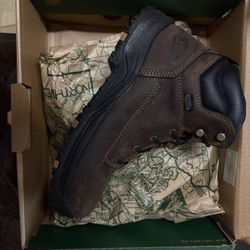Men’s Danner Steel Toe Boot