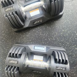 Adjustable dumbell BCG