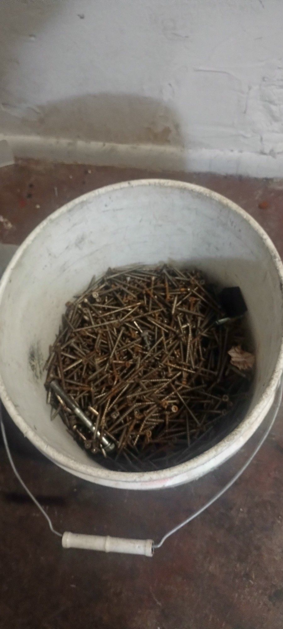 5 Gallon Bucket Of Wood Screws