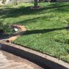 Roc 