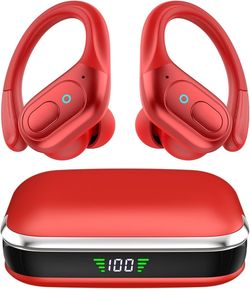 Earbuds Headphones(brand new)