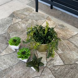 Ikea Mini Artificial Plants For Decoration 