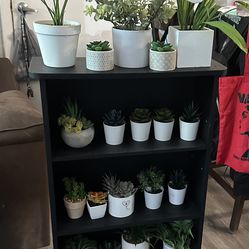 Artificial Succulents Desk Plants