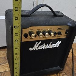 Guitar Speaker 