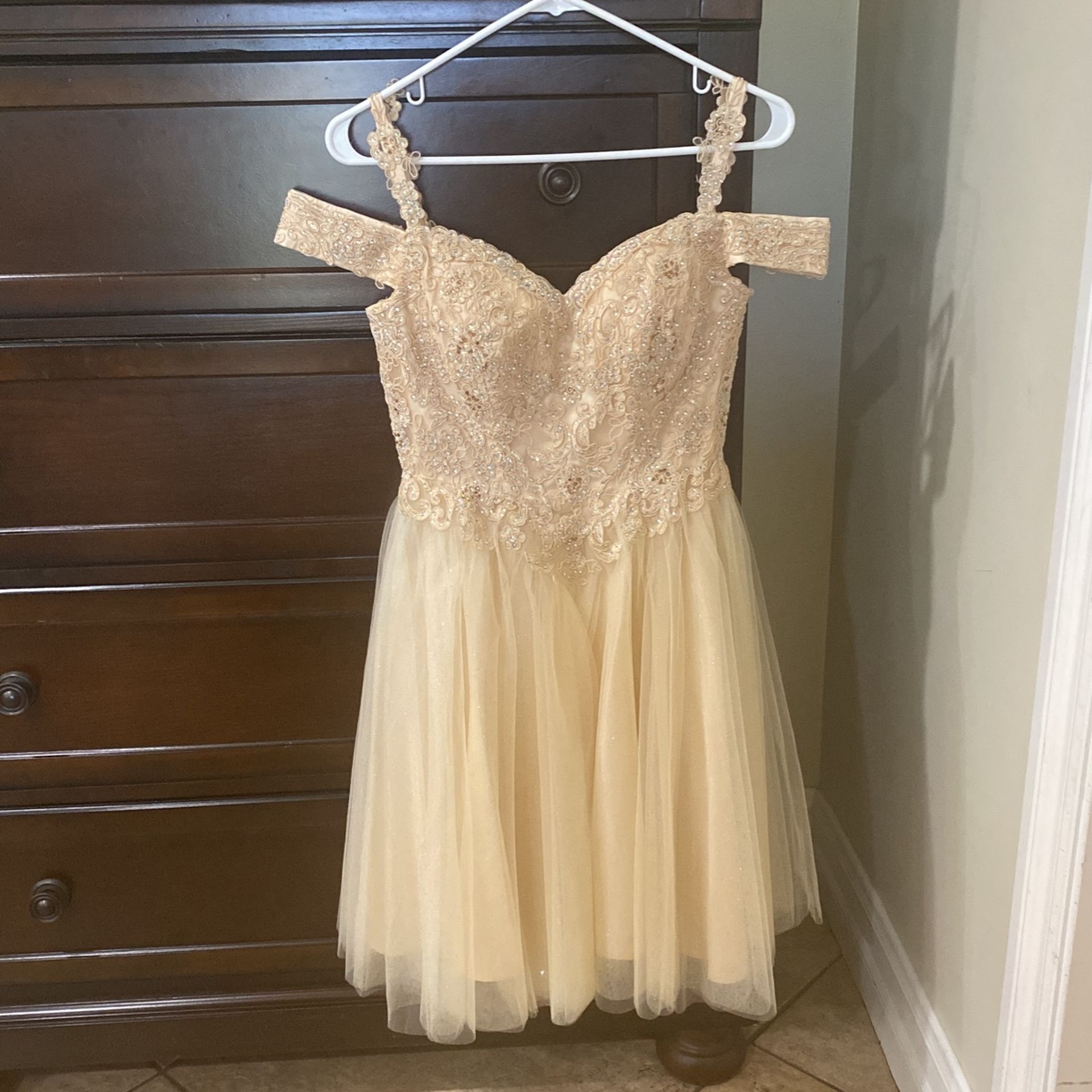 party dress/dama dress