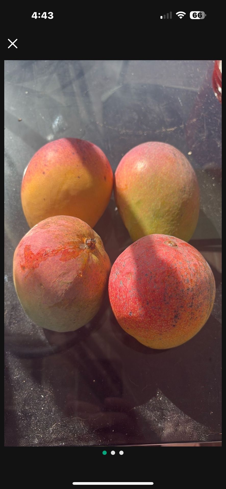 Mangoes