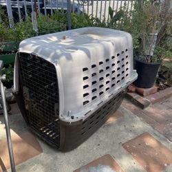 dog house