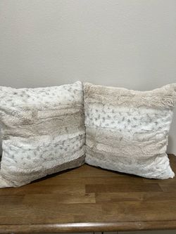 2 throw pillows