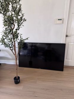 Sceptre Flat Screen TV
