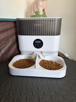 Espelho Automatic Pet Feeder Double Bowl