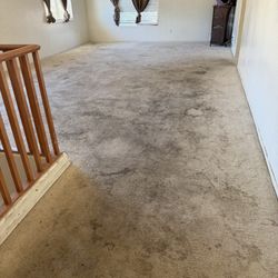 Carpet Clean£r 
