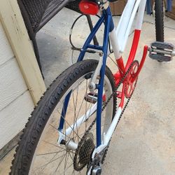 Cruiser Bike