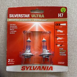 H7 Halogen Lamps 