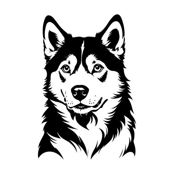 Husky