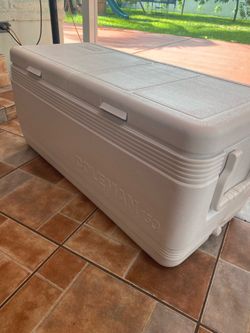 Cooler coleman