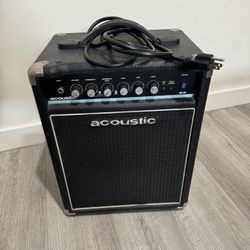 Acoustic Electric Bass Amp B15 (used)