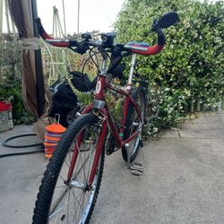 Scott Motion Street Bike 