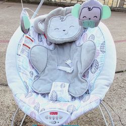 Fisher-Price Snugamonkey Deluxe Bouncer
