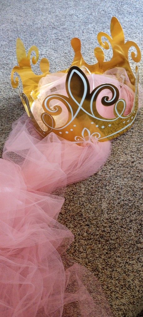 Big Princess Crown Canopy Back Drop